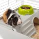 4. CAVIE 80 (x1) - cage for guinea pigs