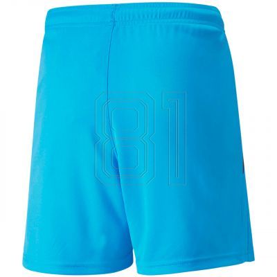 2. Puma teamLIGA Shorts Jr 704931 40