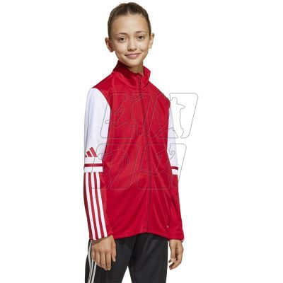 Adidas Squadra 25 Training Jr sweatshirt JD4797