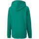 4. Puma teamGOAL 23 Casuals Hoody Jr 656711 05