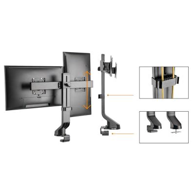 Mount for two monitors / dual monitor mount 17"–27", 14 kg, Maclean MC-854, VESA 75x75 100x100, compatible with MC-848 and MC-849