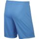 5. Nike PARK II M 725887-412 football shorts