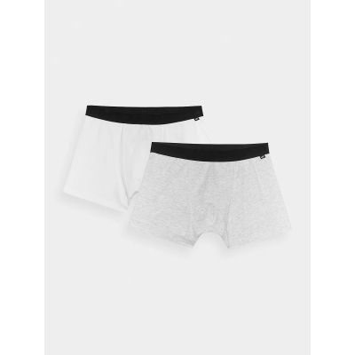 Men's boxer shorts (2-pack) 4F 4FWMM00UBXSM059-90S