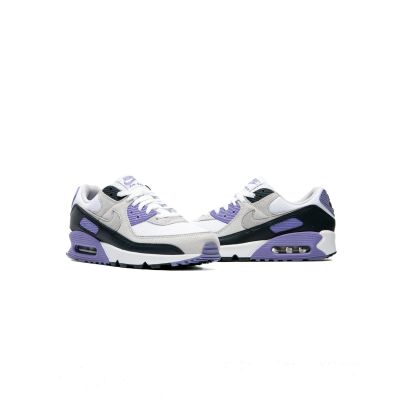 2. NIKE AIR MAX 90 Men's Shoes (DM0029-114)
