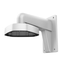 Hikvision DS-1273ZJ-DM25 surveillance camera accessories Fixture