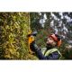 6. Hedge Trimmer 55cm, 18V DCMHT563P1 DEWALT
