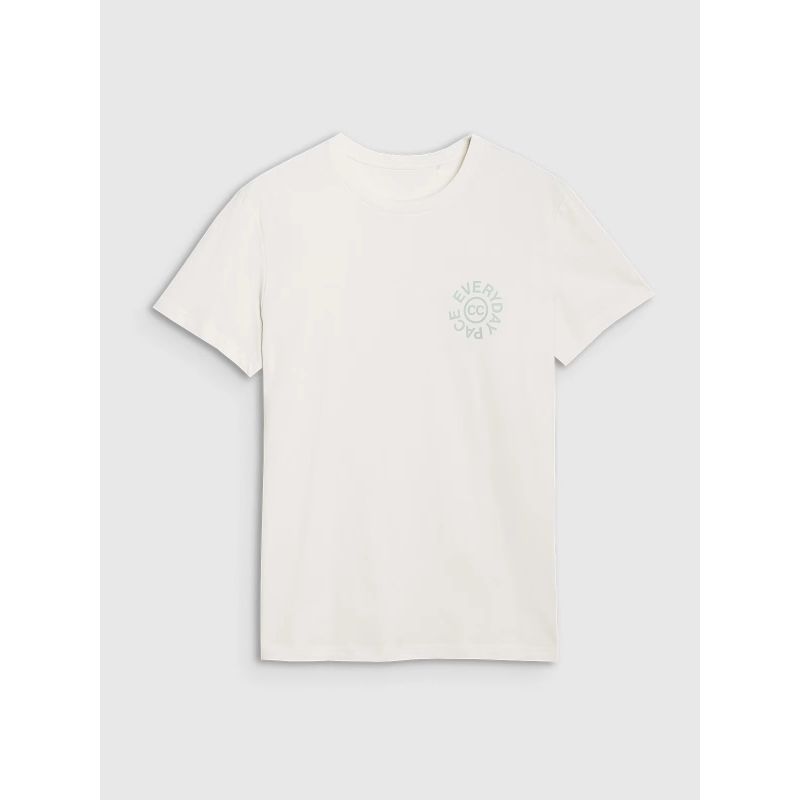 5. Men's regular printed T-shirt 4F 4FWSS25TTSHM1980-11S