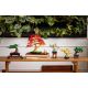12. LEGO 10373 Botanical Collection - Small Bonsai Trees