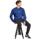 6. Men's adidas Essentials Feelcozy sweatshirt blue JE3792
