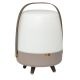 4. Koody Lite-up Play 2.0 Earth Portable LED Lamp with Built-in JBL Speaker
