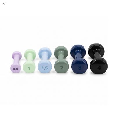 11. Vinyl Dumbbell Set 2 x 2 kg Spokey SHAPE