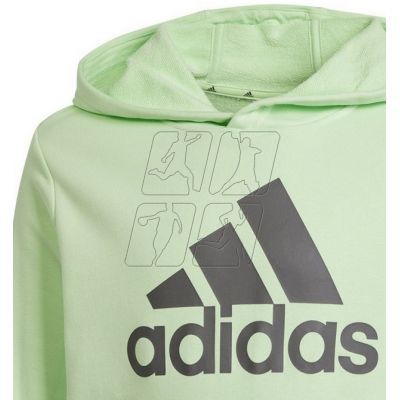 3. Adidas Big Logo Hoodie Jr IS2591 sweatshirt