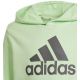 3. Adidas Big Logo Hoodie Jr IS2591 sweatshirt