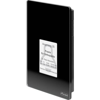 13. Auerswald TFS-Dialog 400 Access Control Terminal
