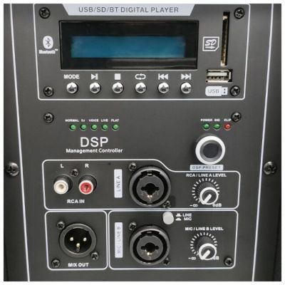 DNA SPX15 DSP 15" active loudspeaker