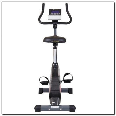 24. HMS Premium M1829-i Magnetic Bike