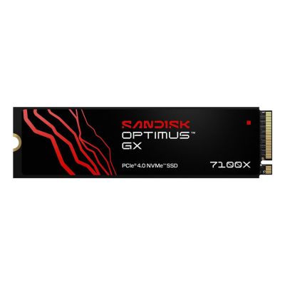 SanDisk Optimus GX7100X 1TB SSD SDSG71200TAN