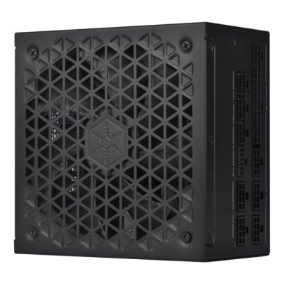 11. Silverstone DA1000R Gold Power Supply Module 1000 W 20+4 pin ATX ATX Black