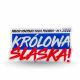 5. Acrylic magnet Polonia Bytom Coat of Arms