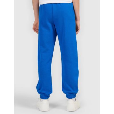 4. Boys' sweatpants 4F 4FJWAW26TTROM1759-36S