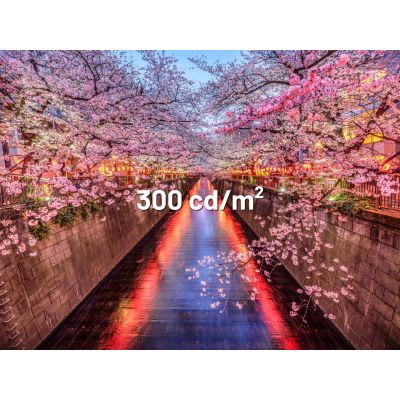 8. Monitor JAPANNEXT 60.5cm JN-I238FHD120F-HSP-YE 16:9 HDMI yellow FHD