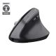 9. Trust BAYO+ ERGONOMIC WIRELESS Black mouse