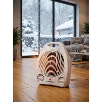 4. ESPERANZA FAN HEATER 1000/2000W GOBI EHH011