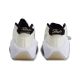5. Nike Air Zoom Flight 95 Beige Basketball Shoes - DX5505-100
