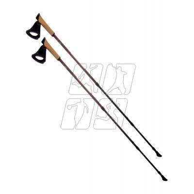 3. Nordic walking poles Elbrus Cliogo 92800385398