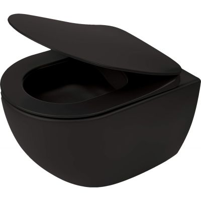 Wall-hung rimless toilet bowl