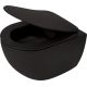 Wall-hung rimless toilet bowl