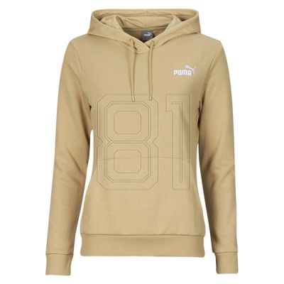 3. Puma Ess+ Embroidery Hoodie W 848332 84