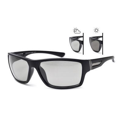 2. Arctica Discover Polarized Photochromic Glasses - S-209F
