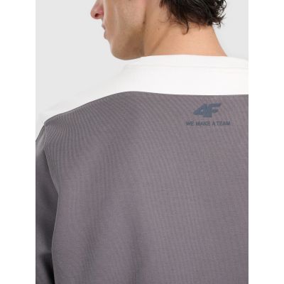 6. Men's sweatshirt without zipper, without hood, 4F 4FRAW25TSWSM2457-23S