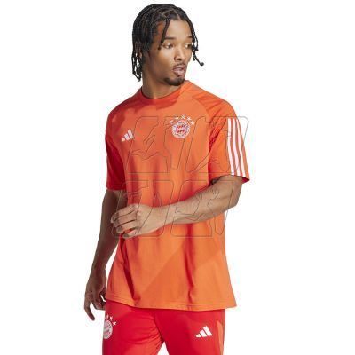 2. Adidas FC Bayern CO Tee M IQ0601