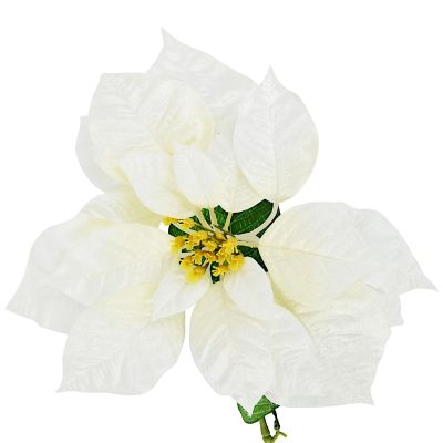 4. Poinsettia 30 cm, white