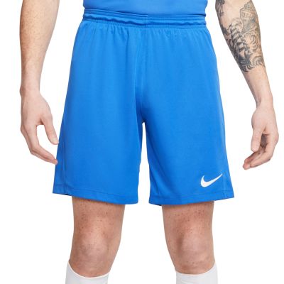 14. Nike Dry Park III NB M BV6855 463 Shorts