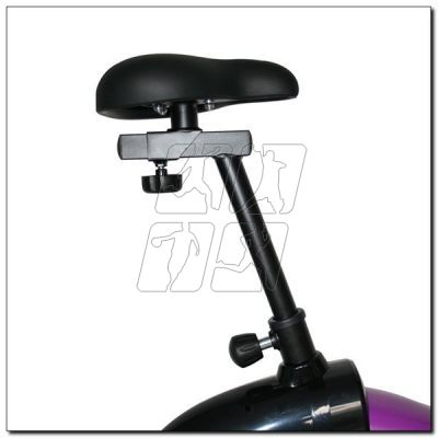 6. Magnetic bike purple HMS M9239V