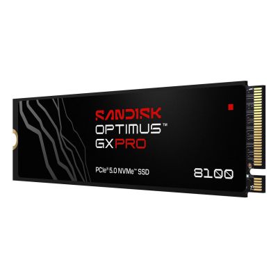 4. SSD Sandisk Optimus GX Pro 8100 1TB SDSP82100TAN