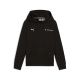 6. Puma BMW MMS Kids Kangaroo Hoodie Black