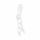 3. Tempish laces 131000242 