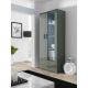 SOHO S6 2D2S display cabinet, grey/grey gloss