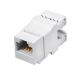 Q-LANTEC RJ45 UTP Cat.6 Keystone Module