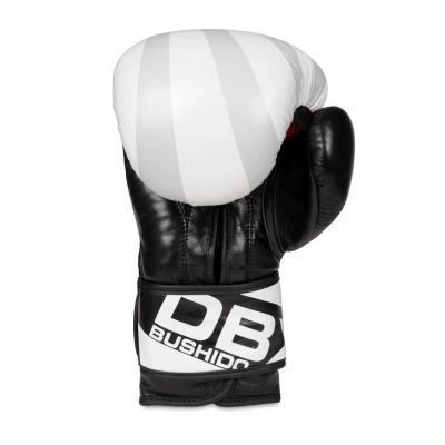 6. 10oz Boxing Gloves - Japan - Valor Series