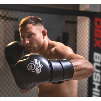 2. 10oz Boxing Gloves - Eclipse - Origin Series