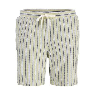 Jack&Jones men's striped shorts JPSTJAIDEN COBA STRIPE JOG SHORTS REG SN 12274413 TEA/STRIPES