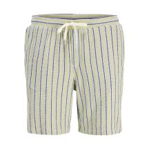 Jack&Jones men's striped shorts JPSTJAIDEN COBA STRIPE JOG SHORTS REG SN 12274413 TEA/STRIPES