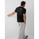 2. Men's regular printed T-shirt 4F 4FRAW26TTSHM4665-20S