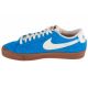 2. Nike Blazer Low 77 W FQ8060-400 shoes