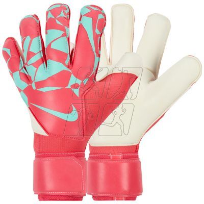 Nike Grip3 M Goalkeeper Gloves HQ0256-850